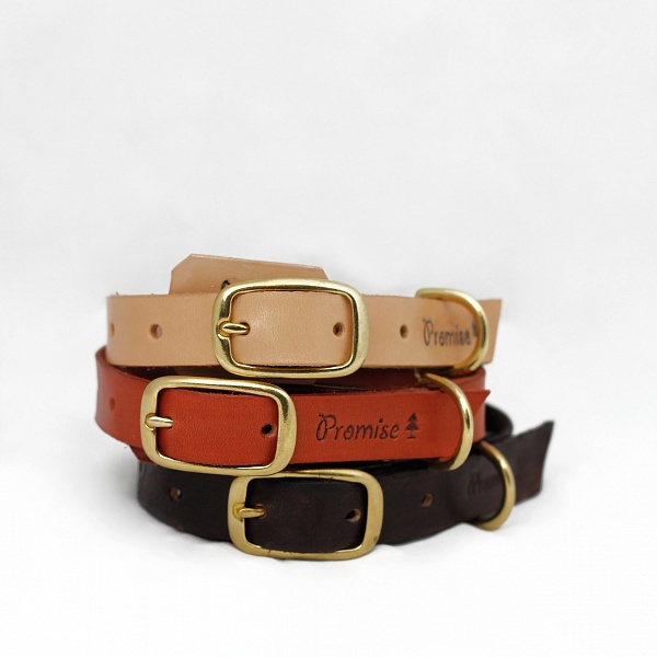 Obojek pro psy - Small dog | Promise Clothing